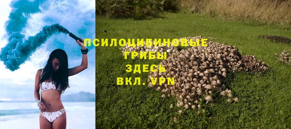 apvp Абаза
