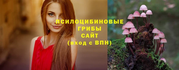 тгк Абинск